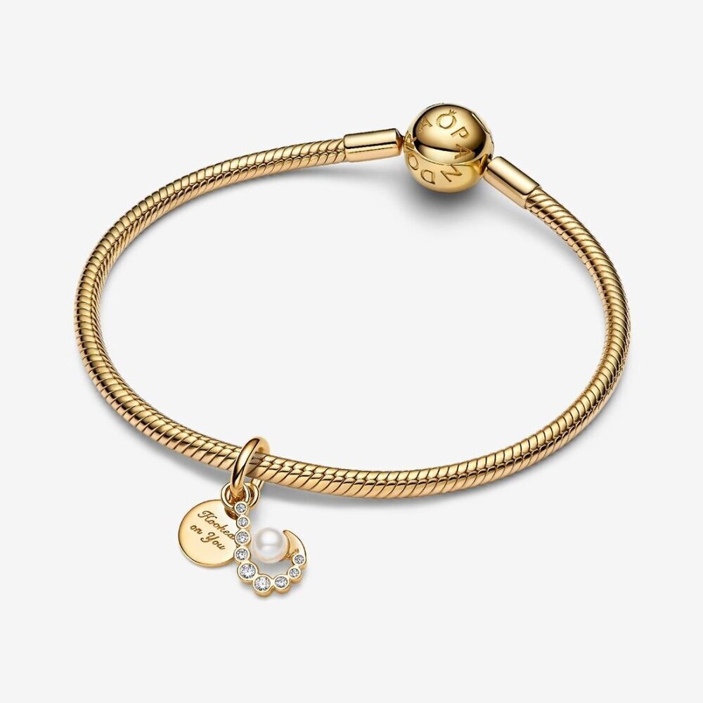 Womens 14k Gold Plating Hook That Shine Bright Sparkling Cubic Zirconia Bracelet